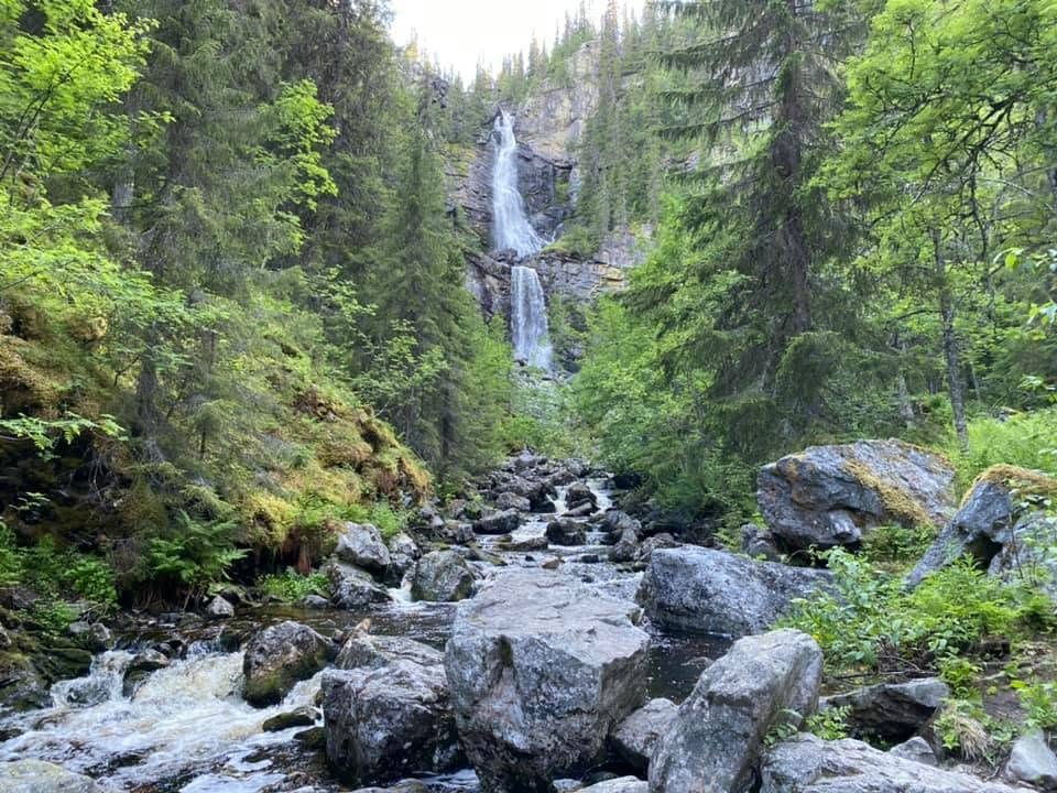 Vattenfall i granskog med en stenig bäck i förgrunden